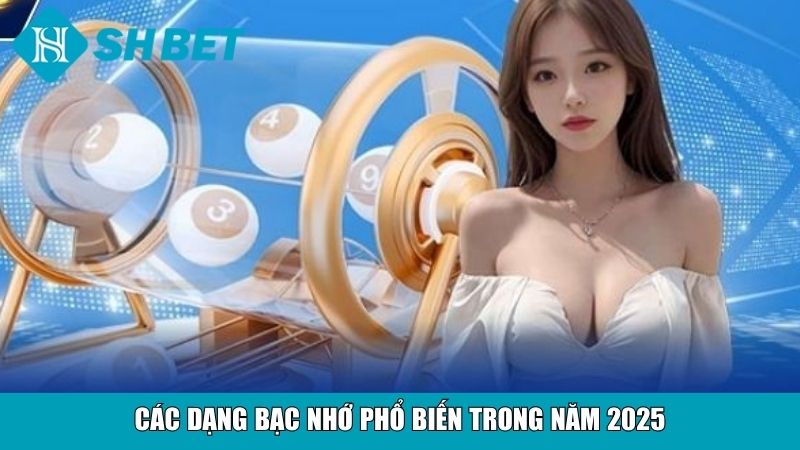 Các dạng bạc nhớ phổ biến trong năm 2025