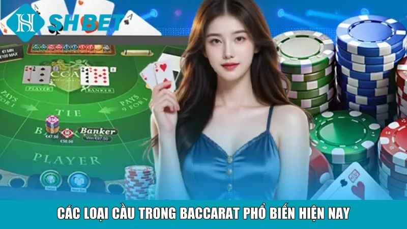Các loại cầu trong baccarat phổ biến hiện nay