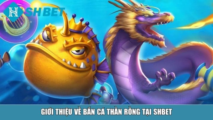 Giới thiệu về bắn cá Thần rồng tại SHBET