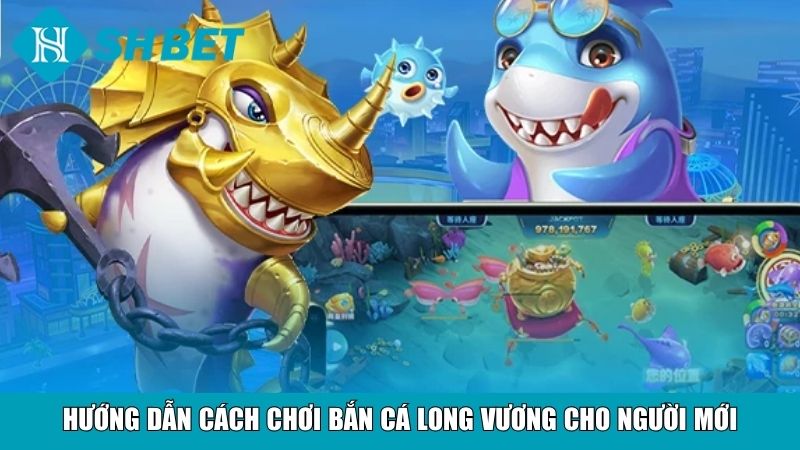 Hướng dẫn cách chơi bắn cá Long vương cho người mới