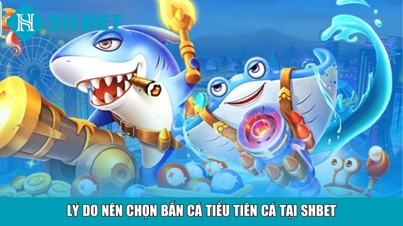 Lý do nên chọn bắn cá Tiểu tiên cá tại SHBET