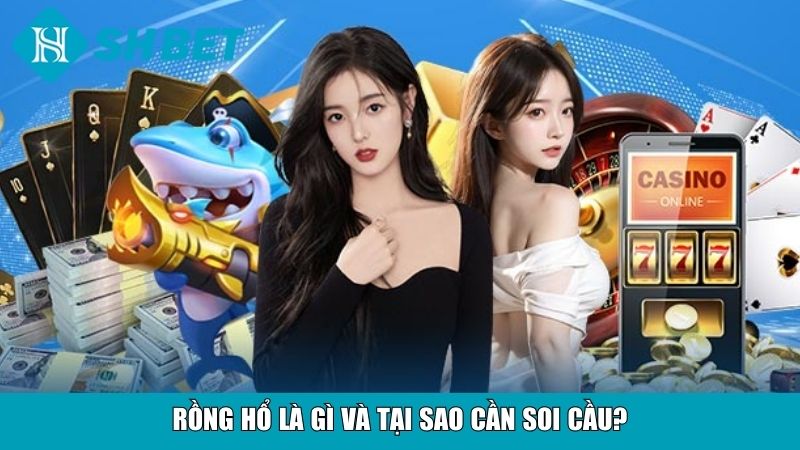 Rồng hổ là gì và tại sao cần soi cầu?