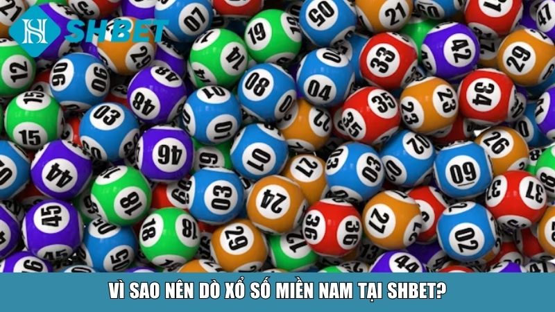 Vì sao nên dò xổ số miền Nam tại SHBET?